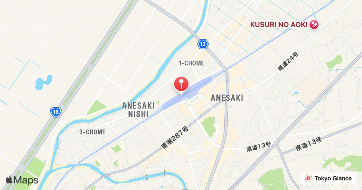 Anegasaki Station