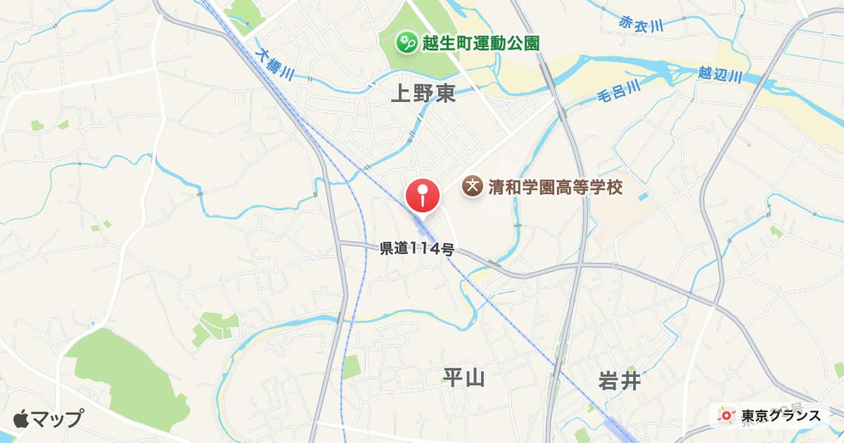 武州唐沢駅