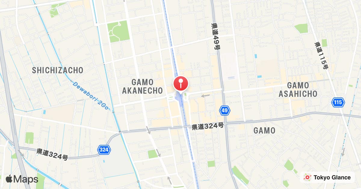 Gamo Station