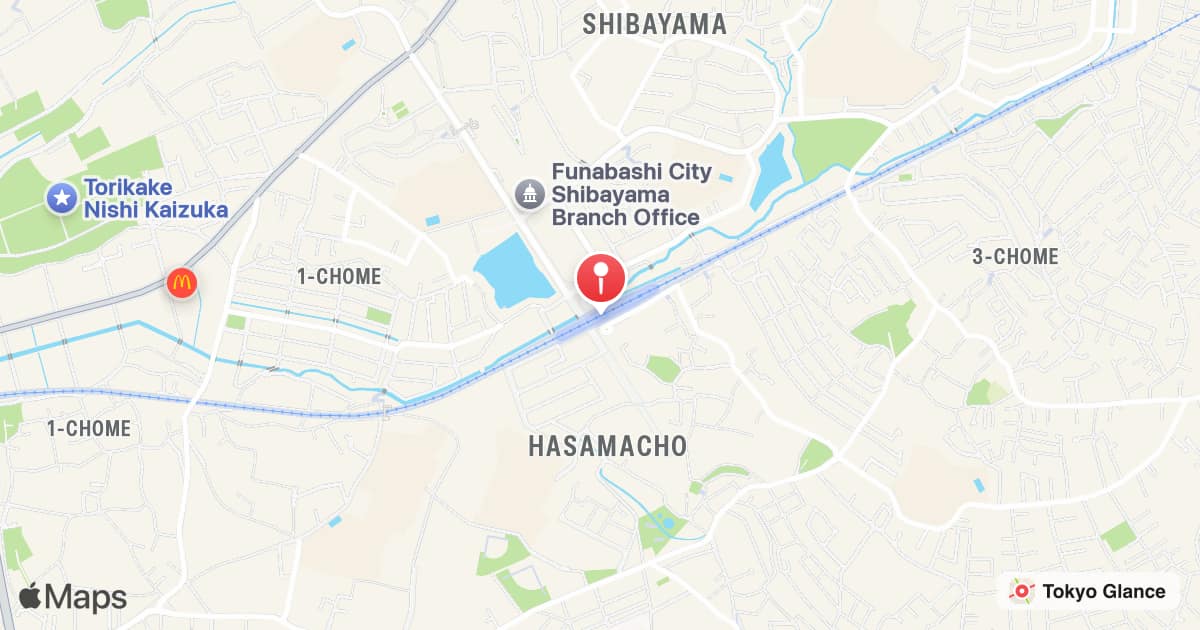 Hasama Station