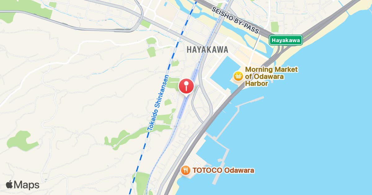 Hayakawa Station