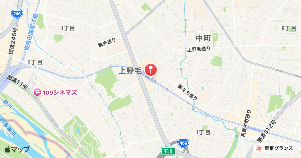 上野毛駅