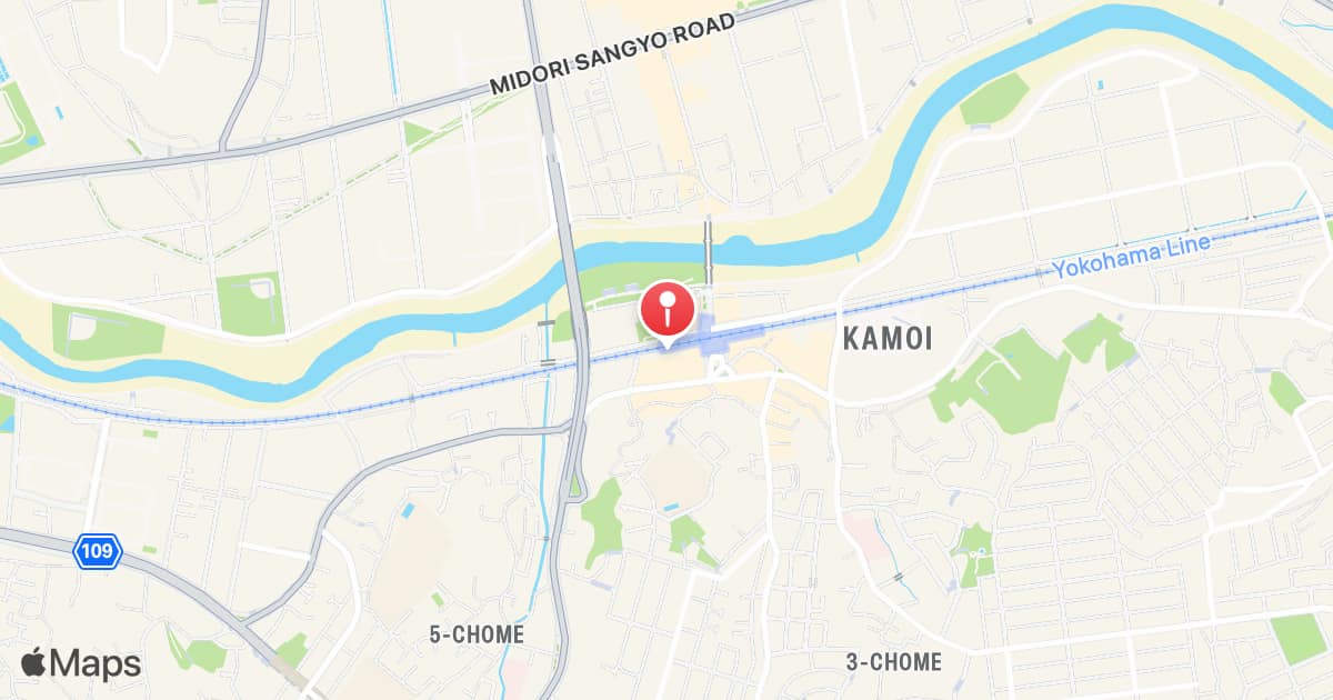 Kamoi Station