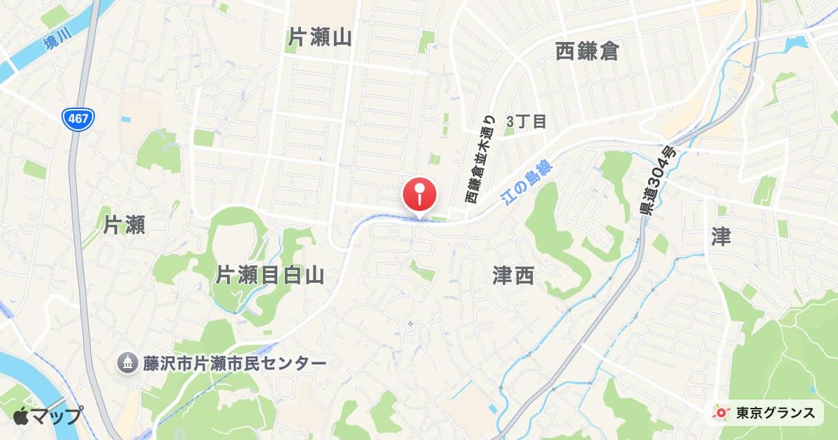 片瀬山駅