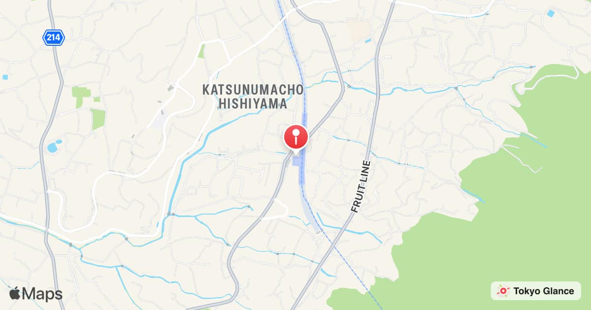 胜沼葡萄乡站
