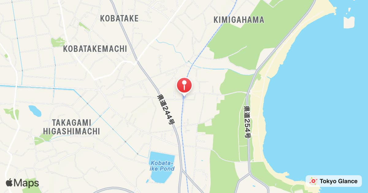 Kimigahama Station