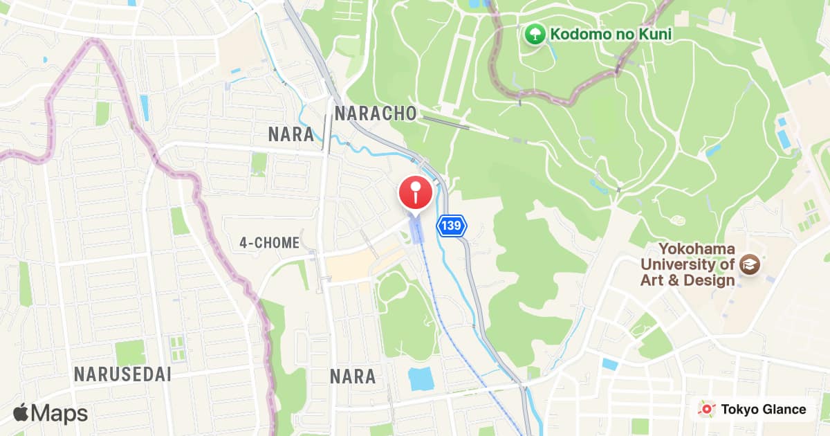 Station Kodomonokuni