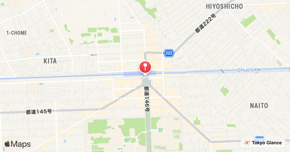 Kunitachi Station