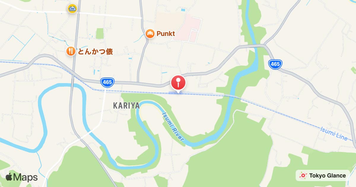 Kuniyoshi Station