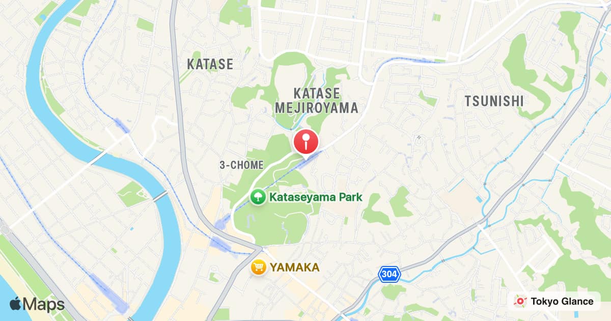 Mejiroyamashita Station