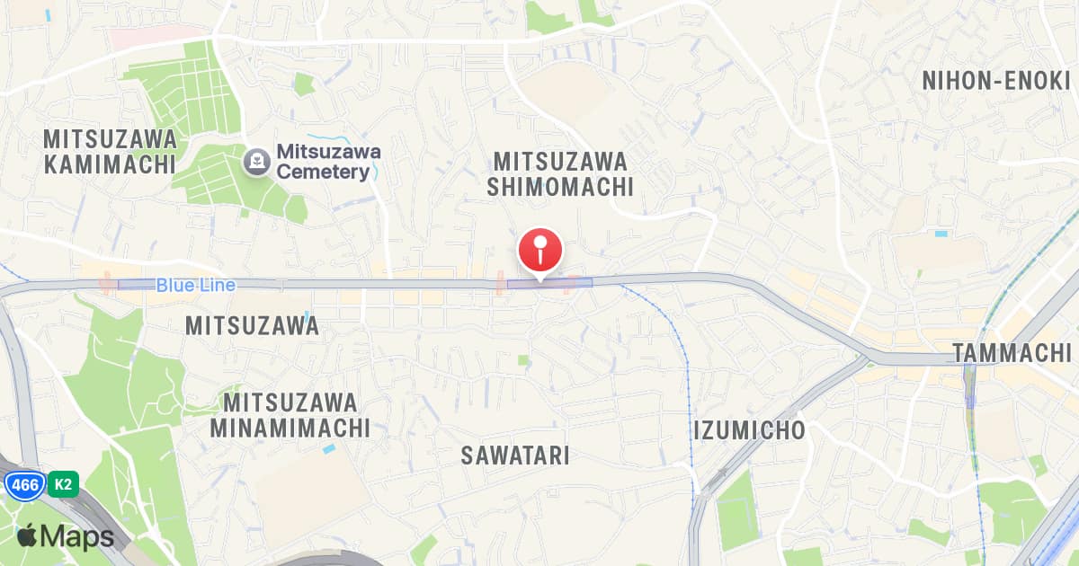 Mitsuzawa-shimocho Station