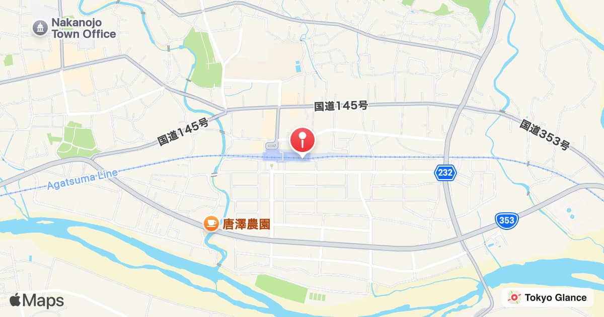 Station Nakanojo