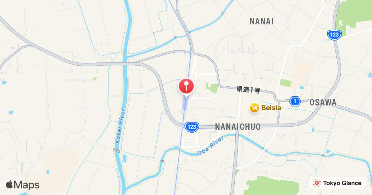 Station Nanai