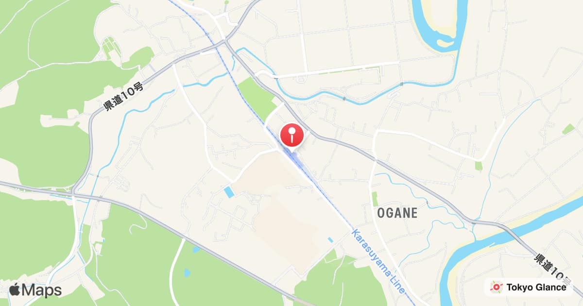 Ogane Station
