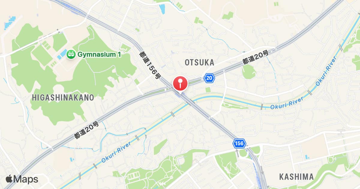 Otsuka-Teikyo-Daigaku Station