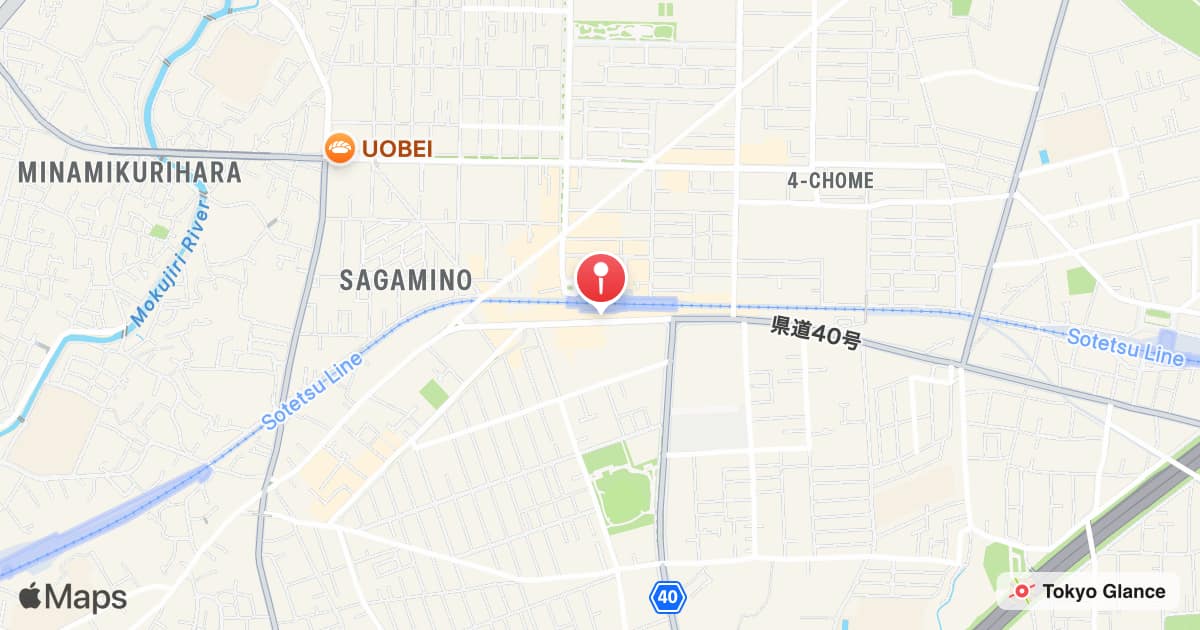 Sagamino Station