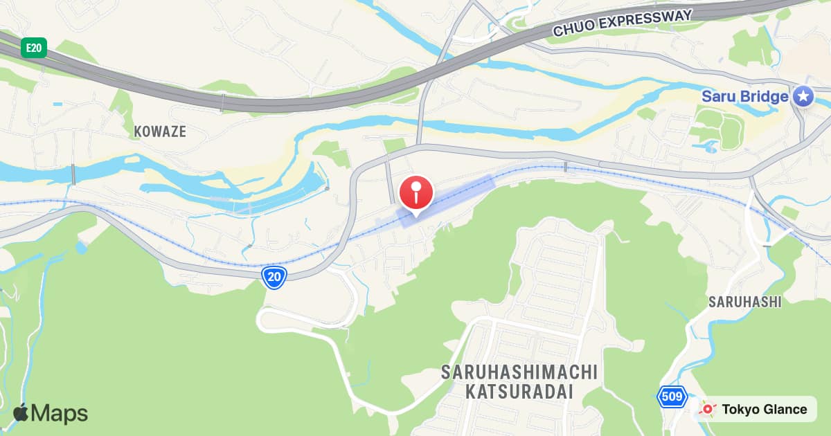 Saruhashi Station