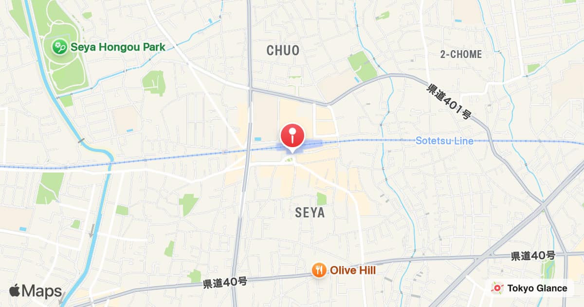 Seya Station