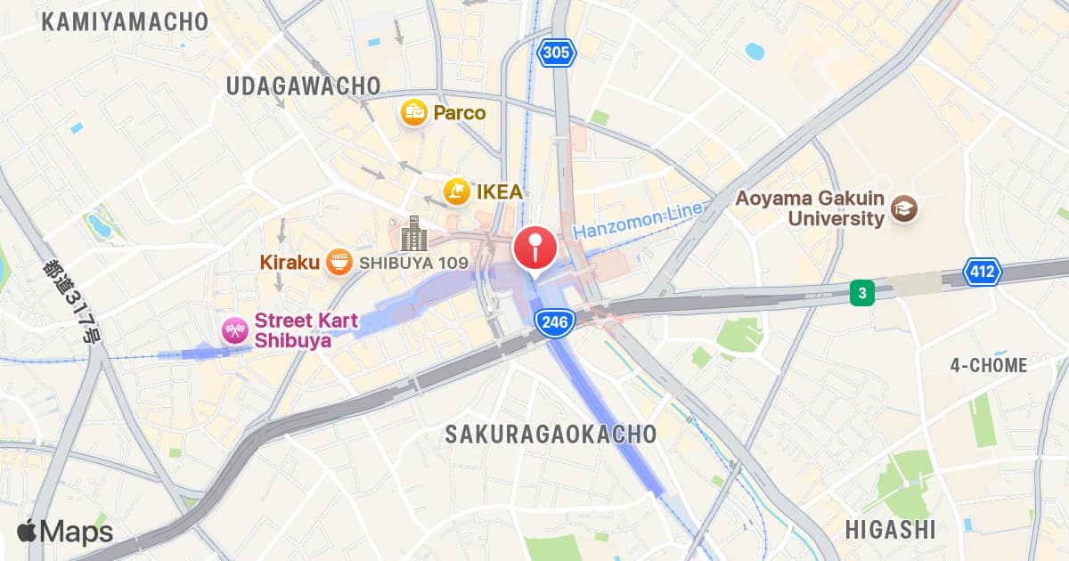 Shibuya Station