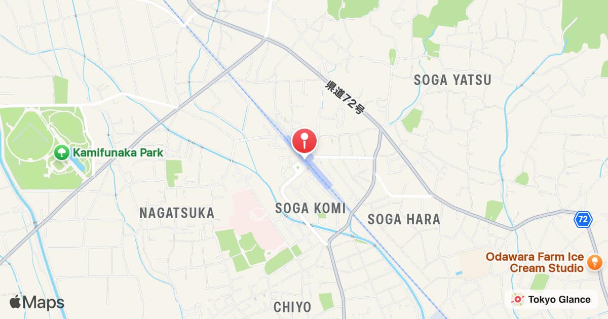 시모소가역