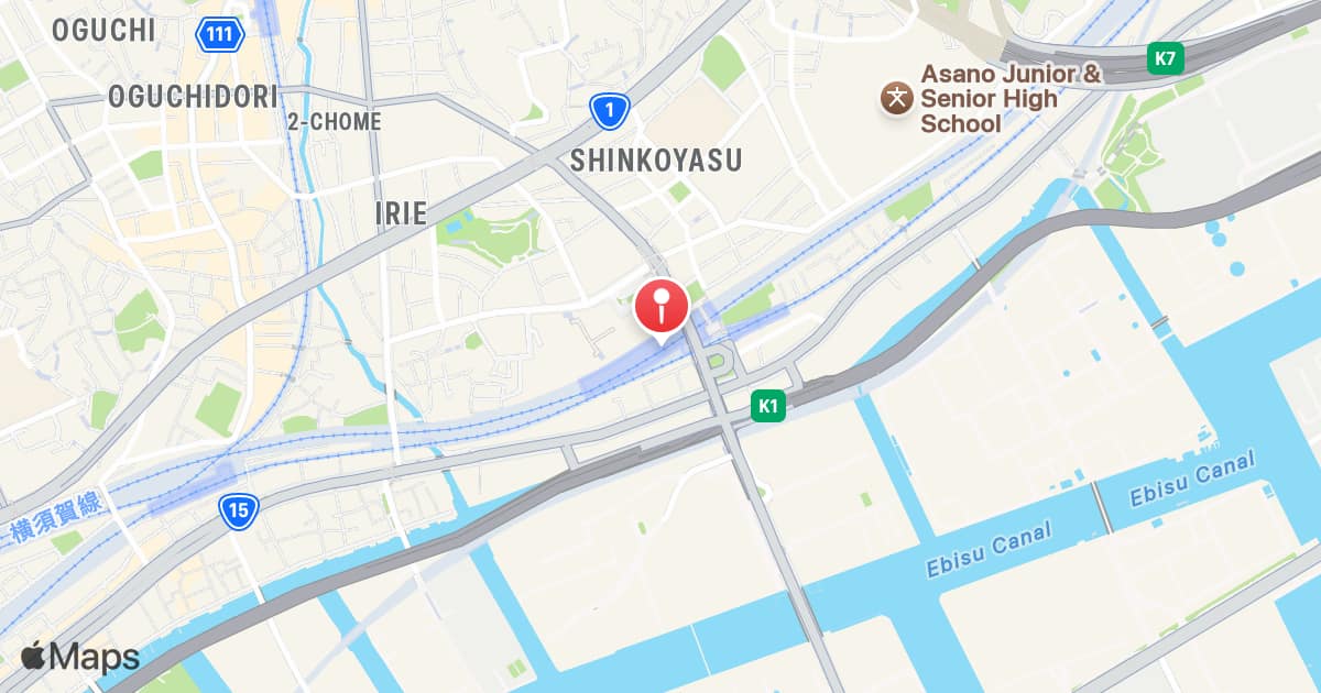 Shin-Koyasu Station