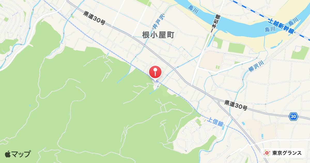 高崎商科大学前駅
