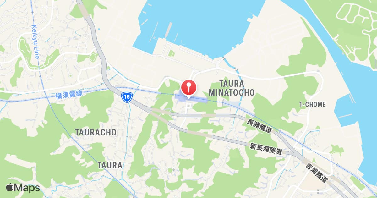 Taura Station