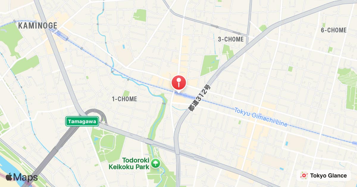 Todoroki Station