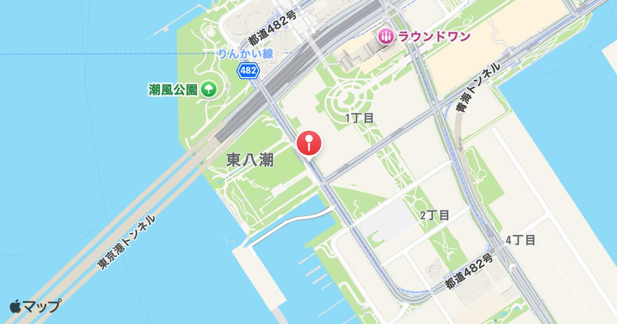 東京国際クルーズターミナル駅