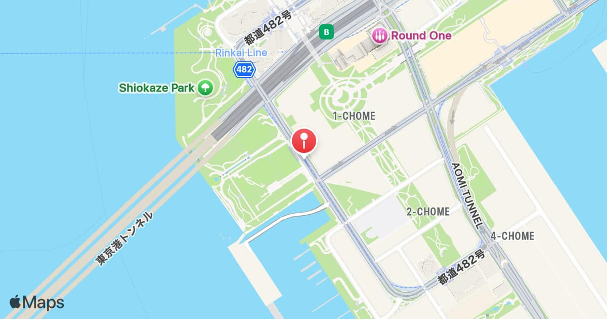 Tokyo International Cruise Terminal Station