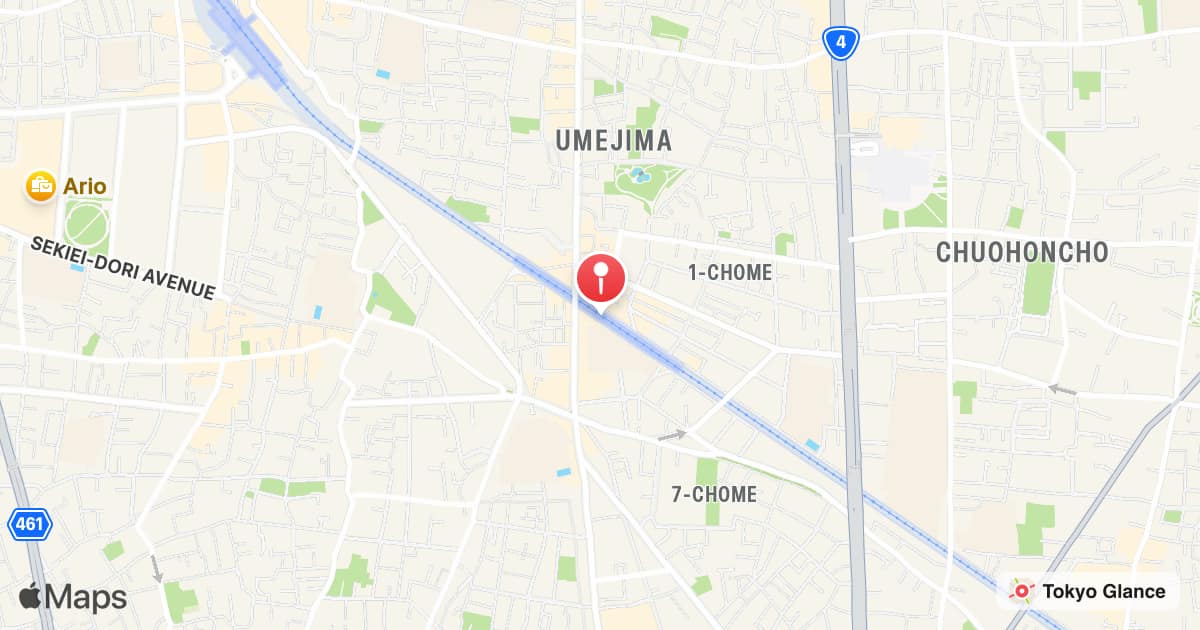Station Umejima