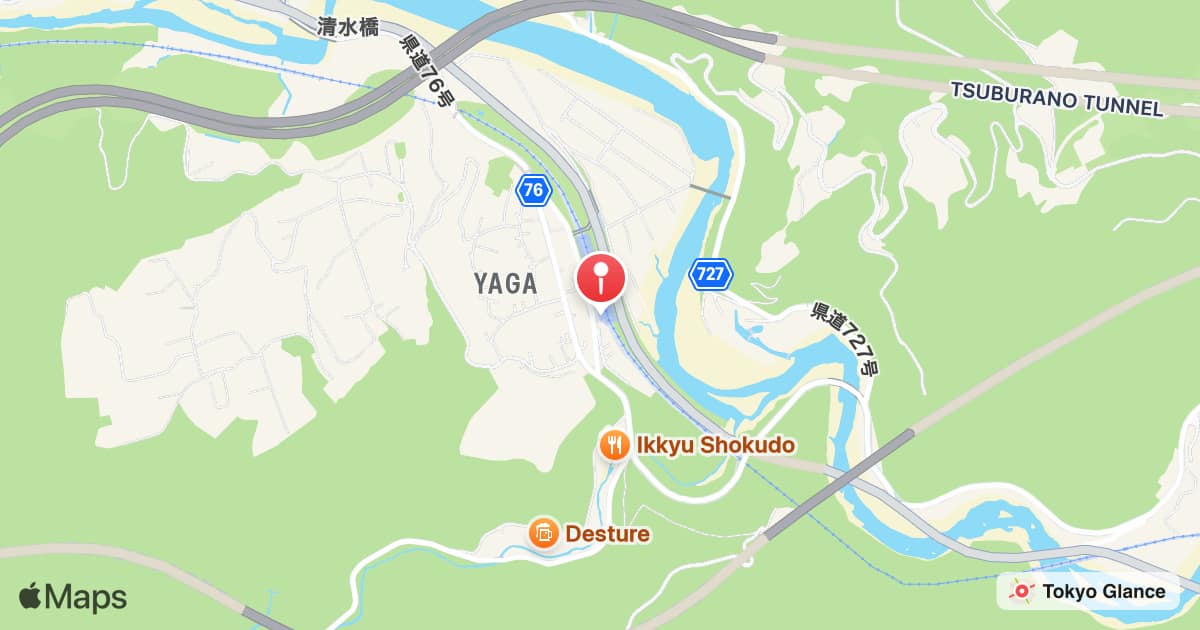 Yaga Station