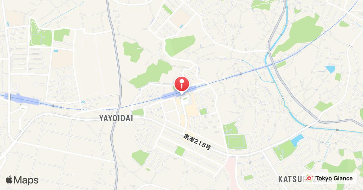 Station Yayoidai