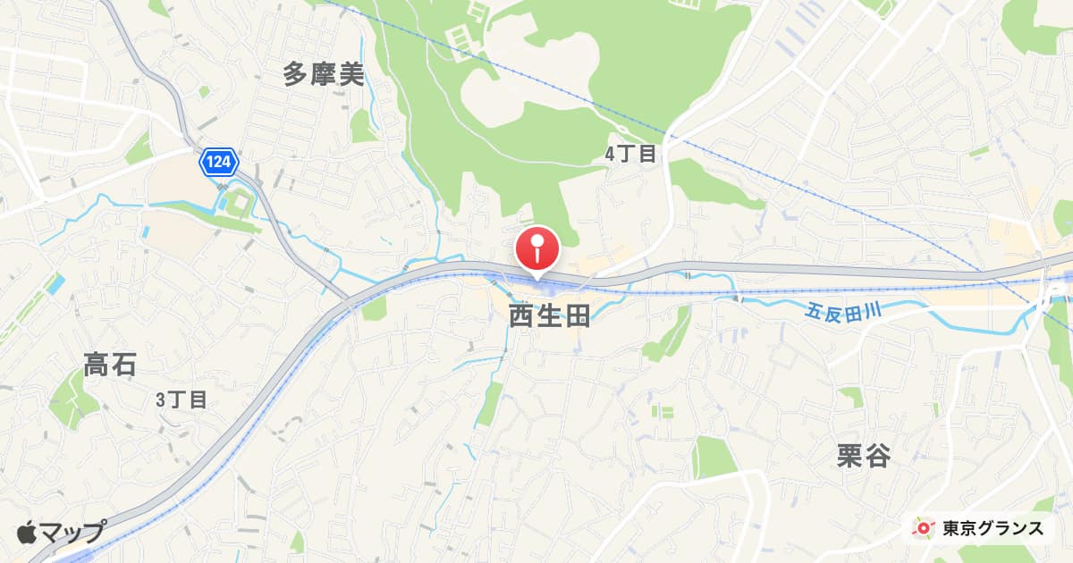読売ランド前駅
